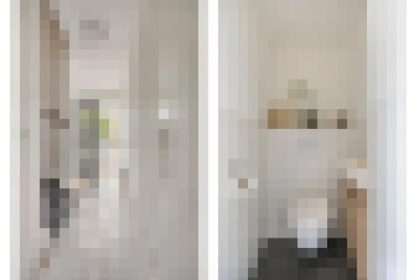 Hertshoornvaren 6 Bergschenhoek thumbnail 17