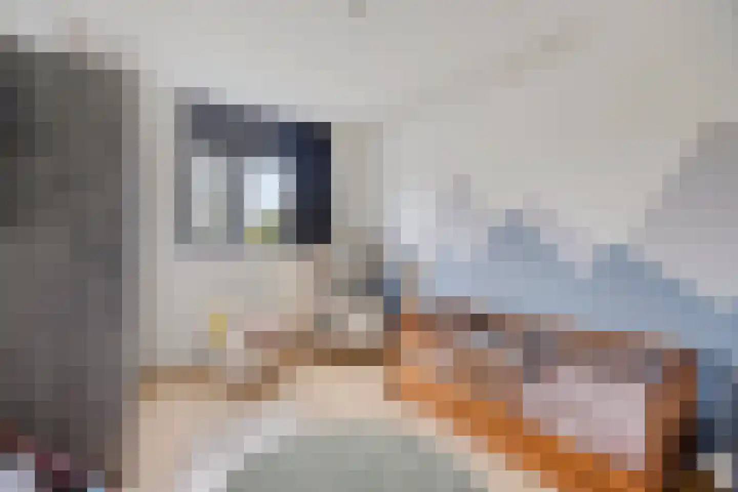 Hertshoornvaren 6 Bergschenhoek thumbnail 18