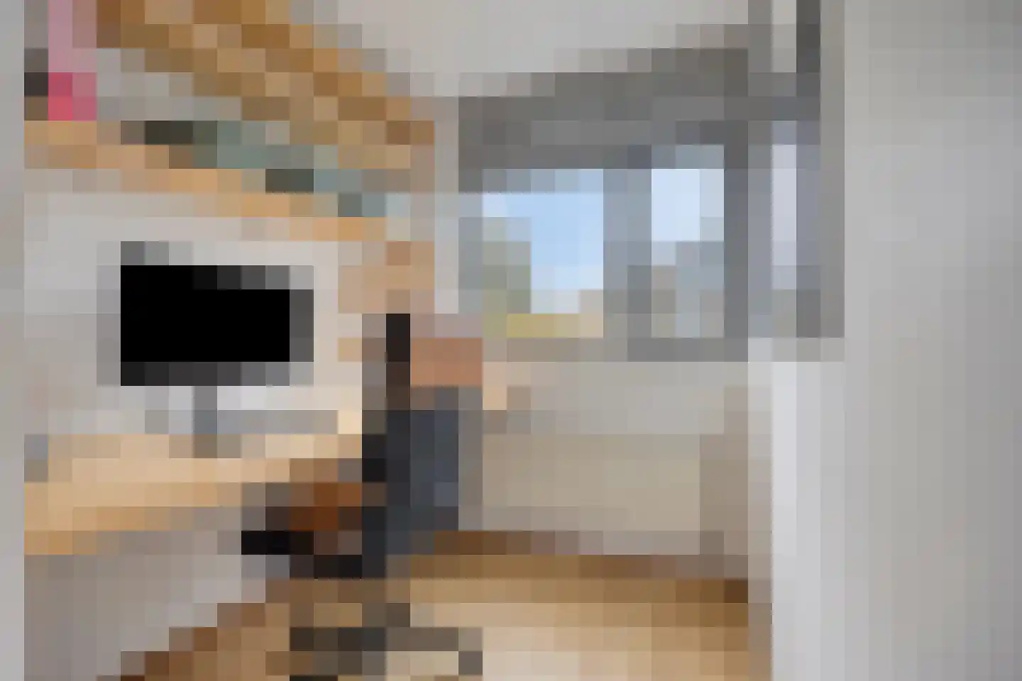 Hertshoornvaren 6 Bergschenhoek thumbnail 20