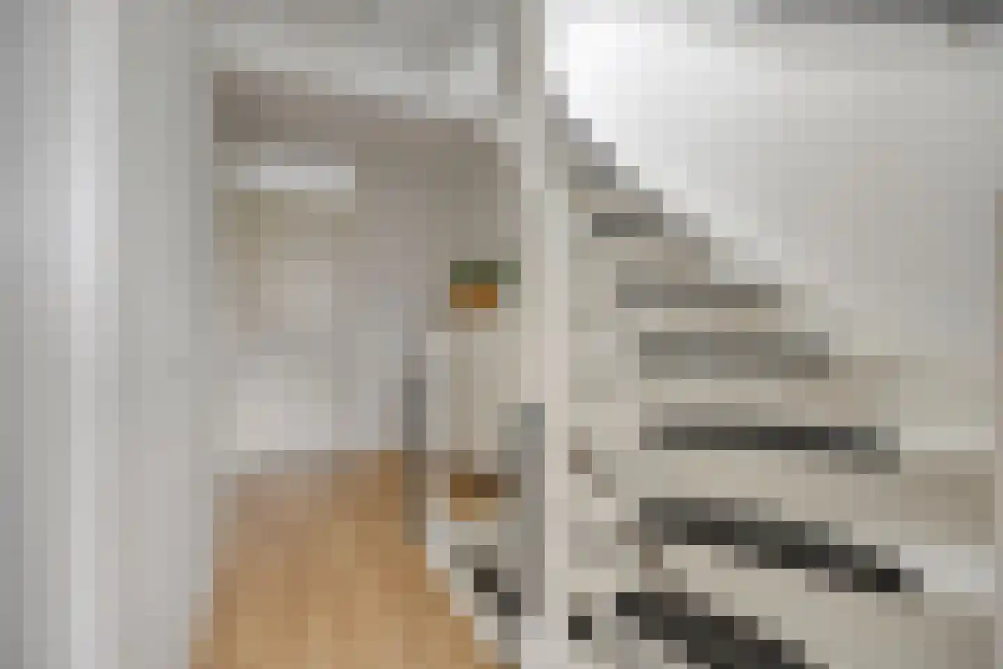 Hertshoornvaren 6 Bergschenhoek thumbnail 21