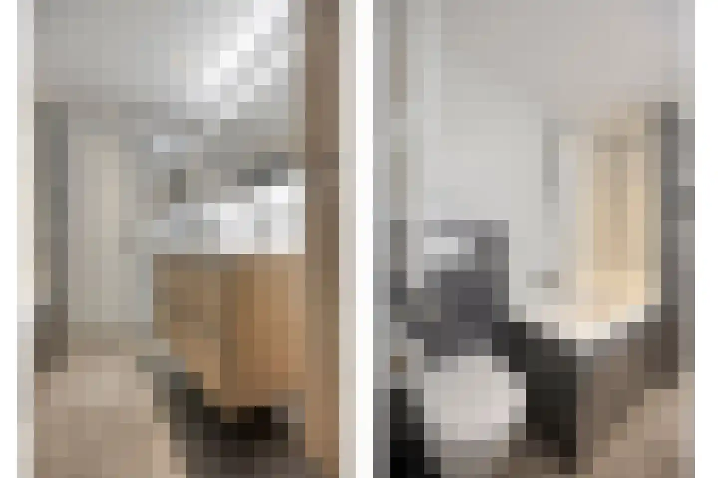 Hertshoornvaren 6 Bergschenhoek thumbnail 23