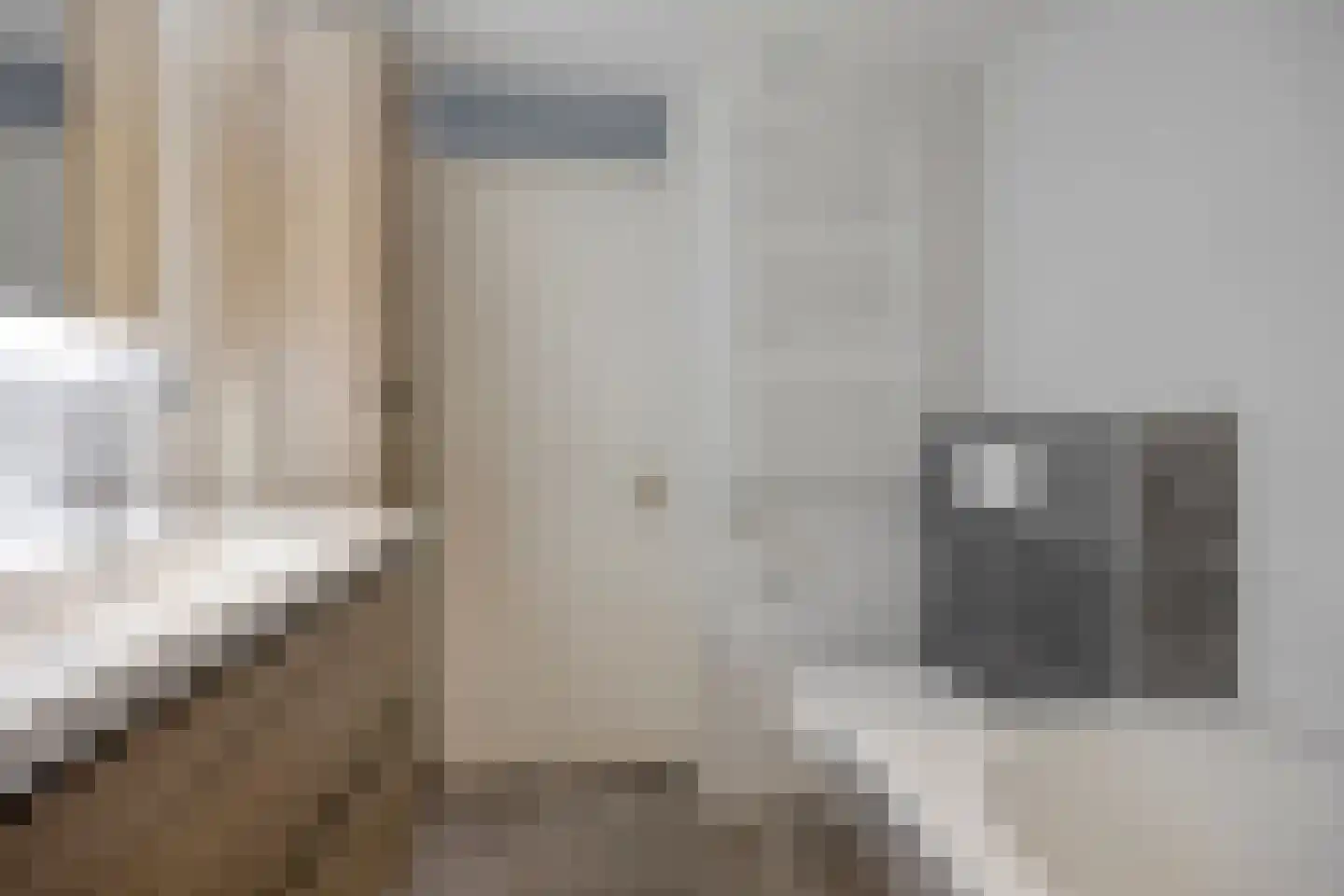 Hertshoornvaren 6 Bergschenhoek thumbnail 24