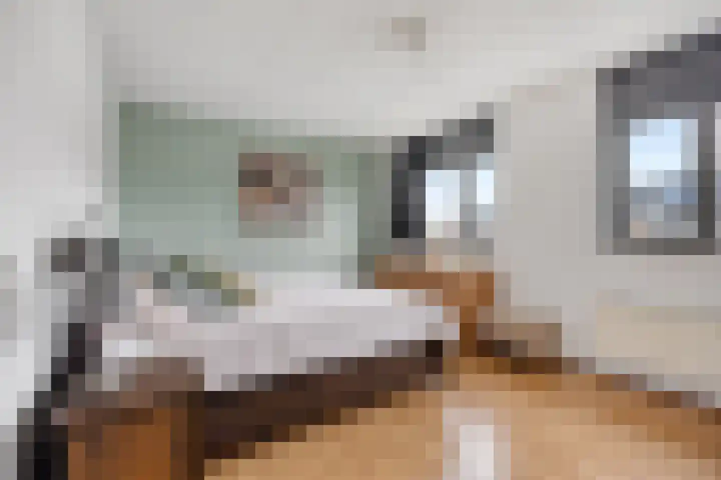 Hertshoornvaren 6 Bergschenhoek thumbnail 25
