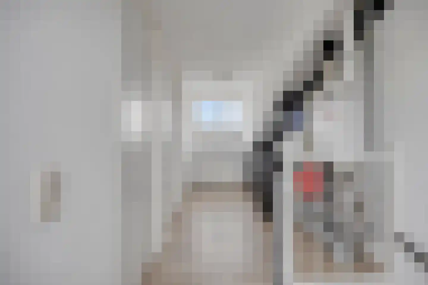 Hertshoornvaren 6 Bergschenhoek thumbnail 27
