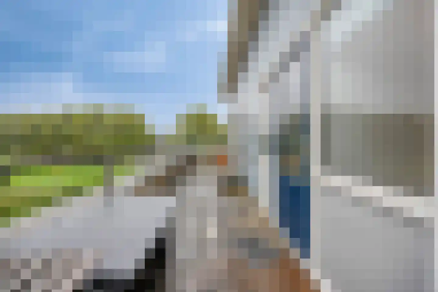 Hertshoornvaren 6 Bergschenhoek thumbnail 31