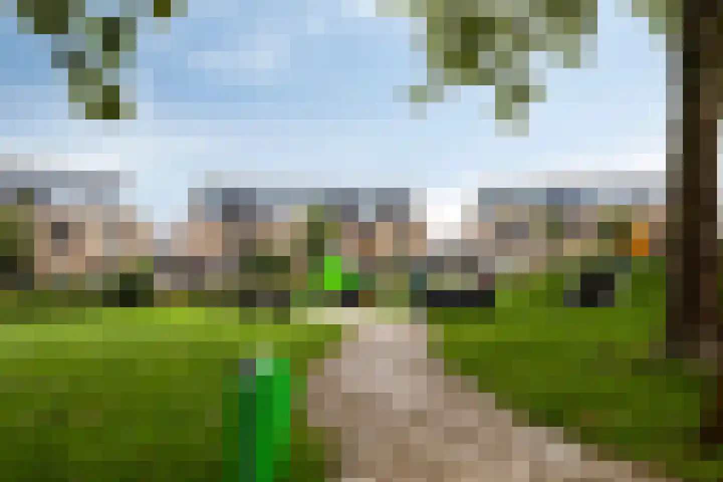 Hertshoornvaren 6 Bergschenhoek thumbnail 33