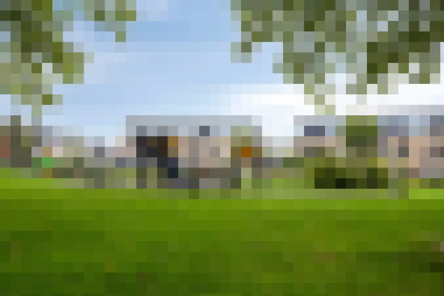 Hertshoornvaren 6 Bergschenhoek thumbnail 34