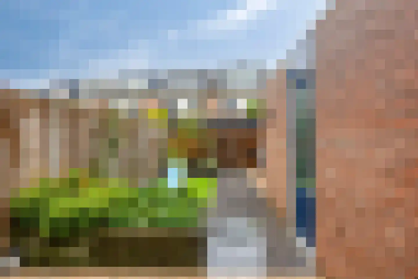 Hertshoornvaren 6 Bergschenhoek thumbnail 4
