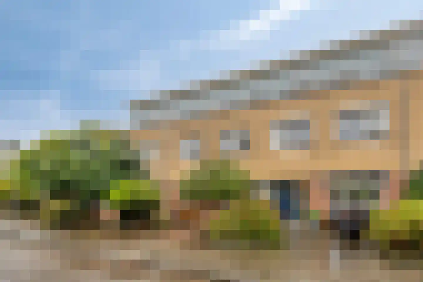 Hertshoornvaren 6 Bergschenhoek thumbnail 5