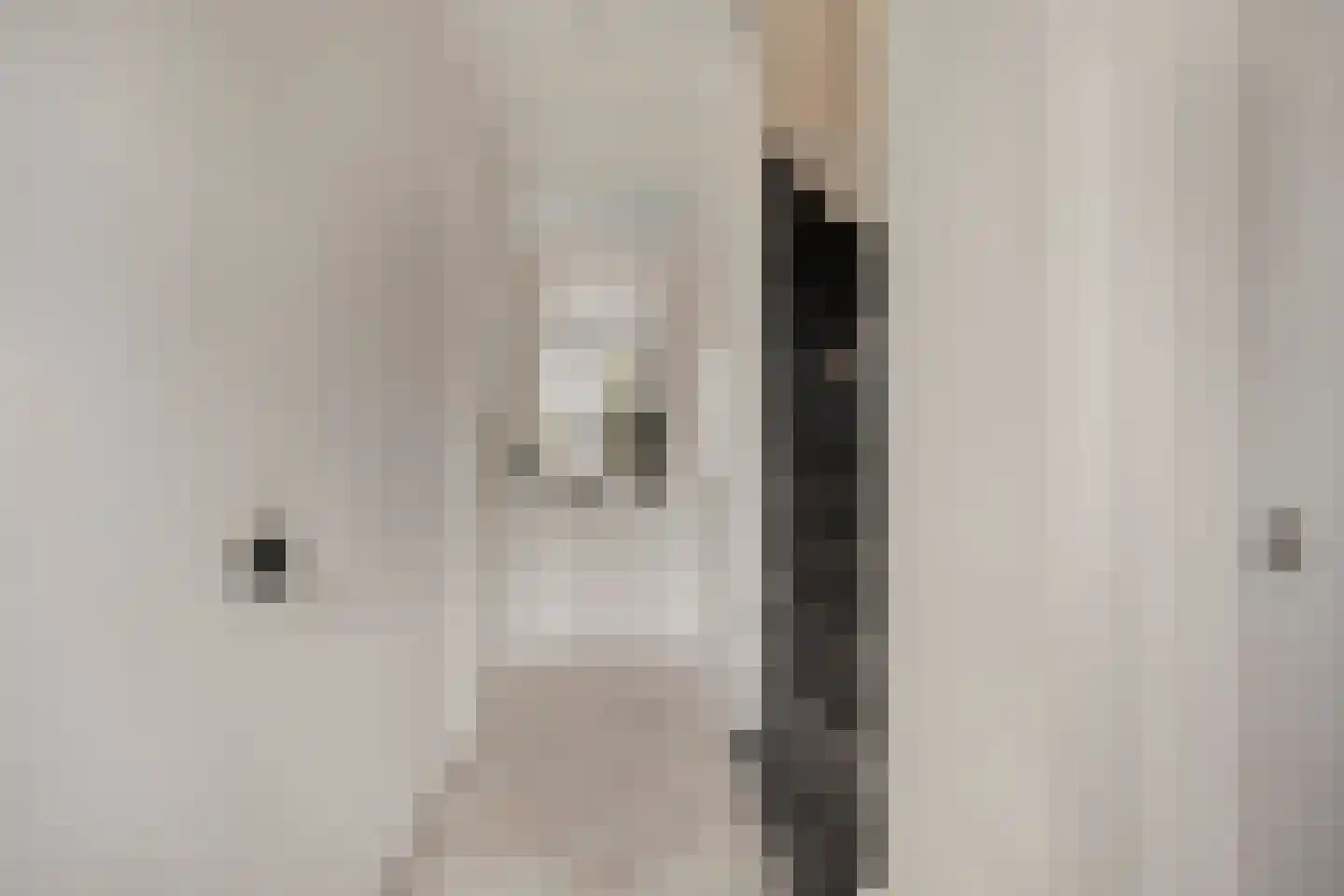 Hertshoornvaren 6 Bergschenhoek thumbnail 6