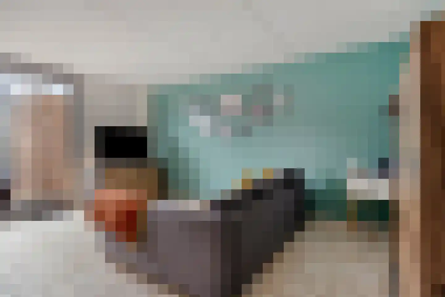 Hertshoornvaren 6 Bergschenhoek thumbnail 7