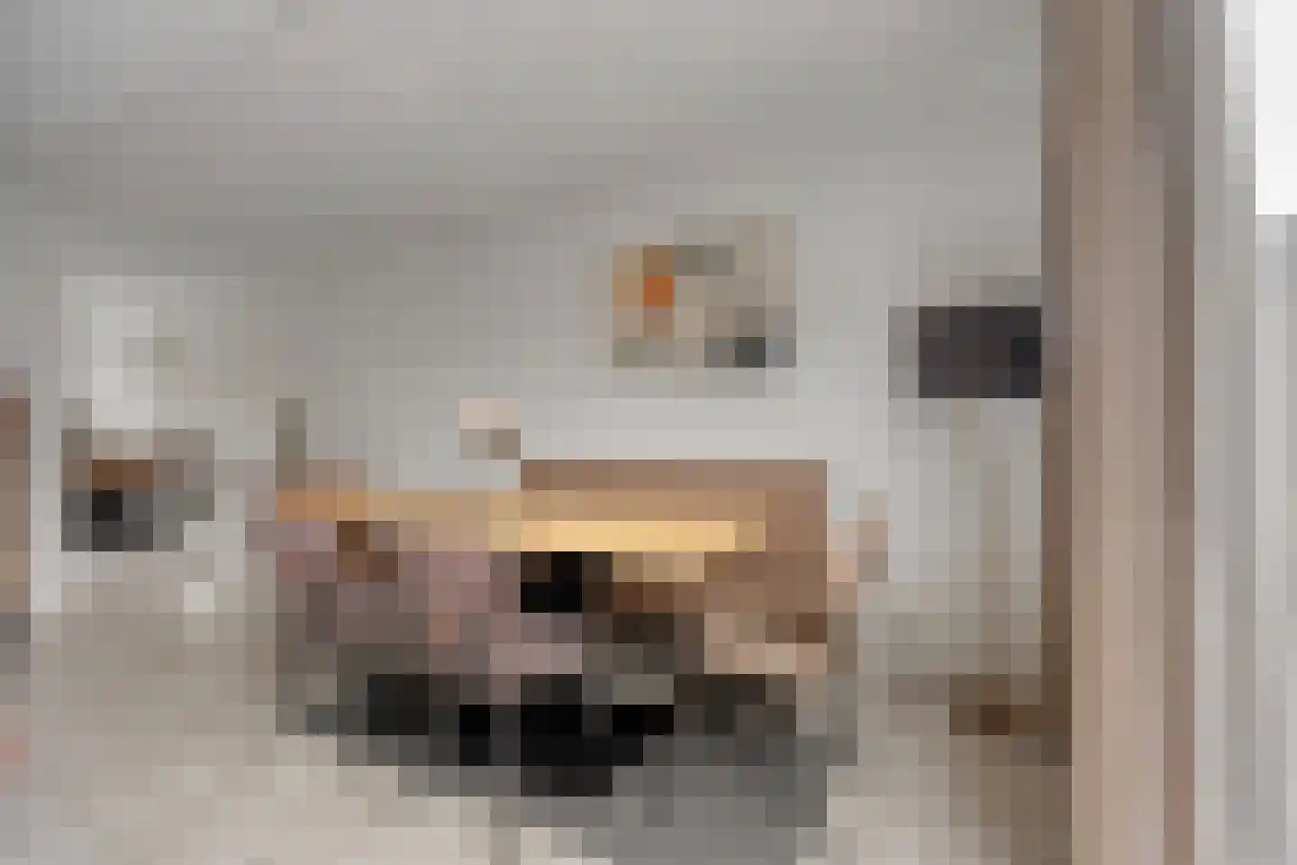 Hertshoornvaren 6 Bergschenhoek thumbnail 8