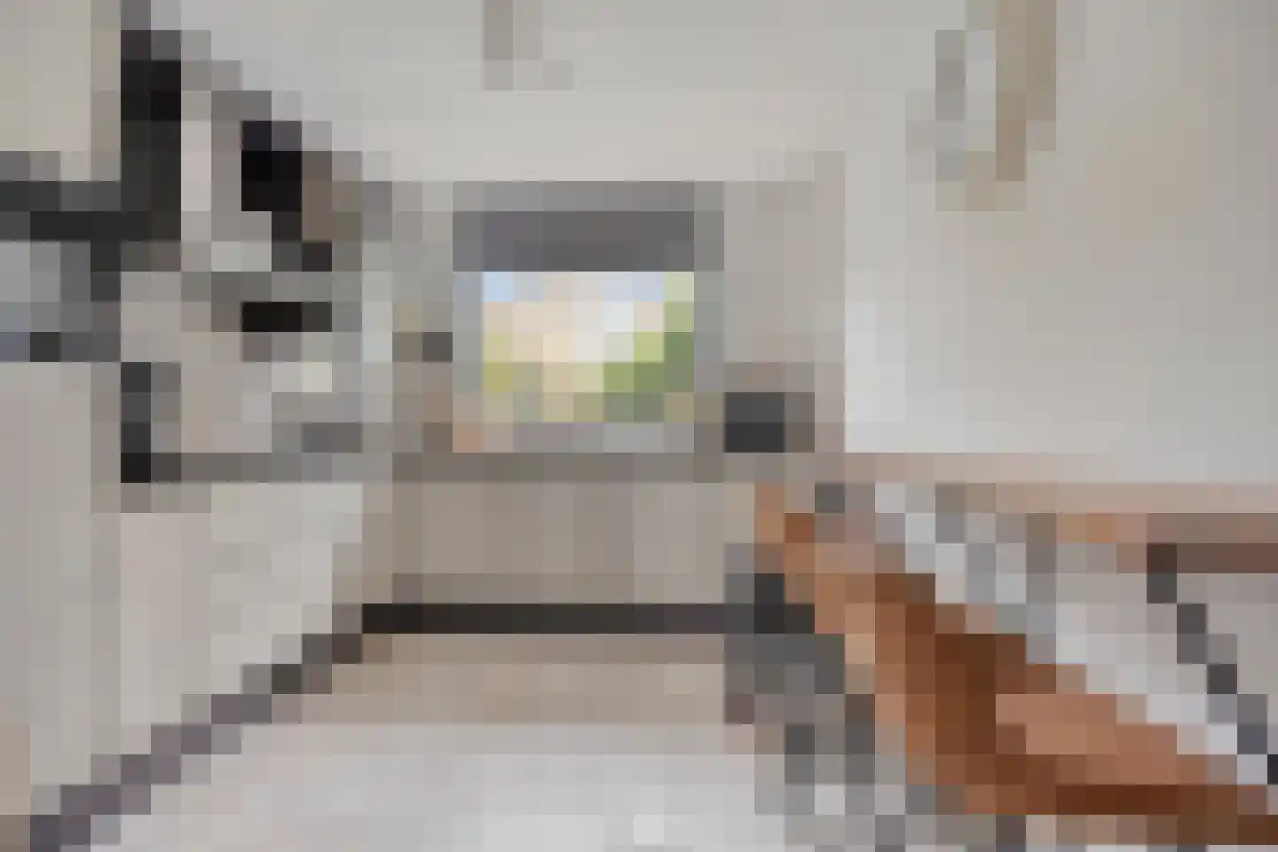 Hertshoornvaren 6 Bergschenhoek thumbnail 9