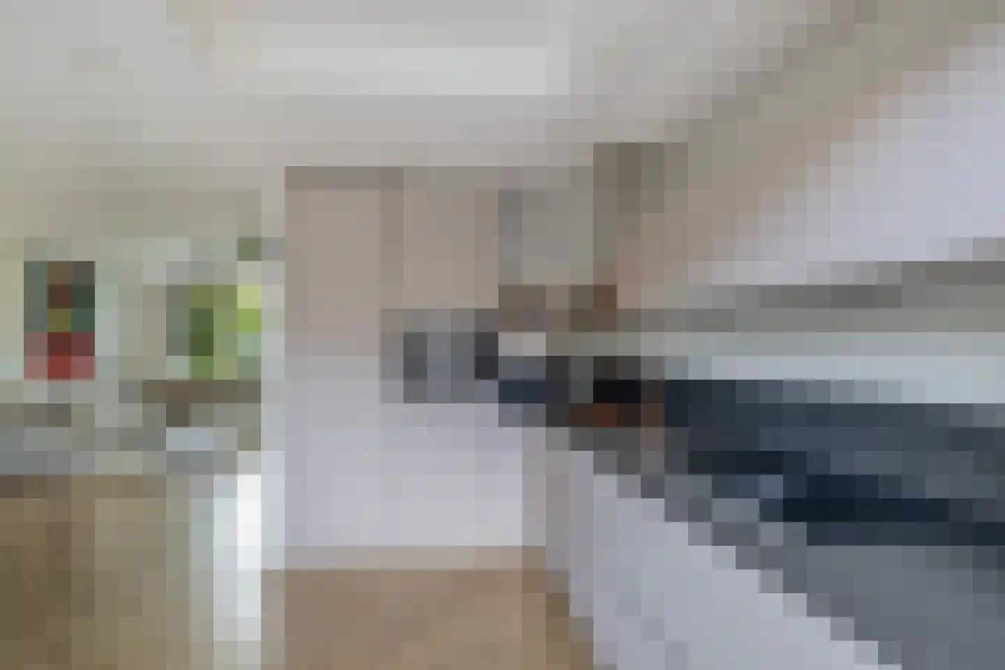 Hertshoornvaren 8 Rotterdam thumbnail 19