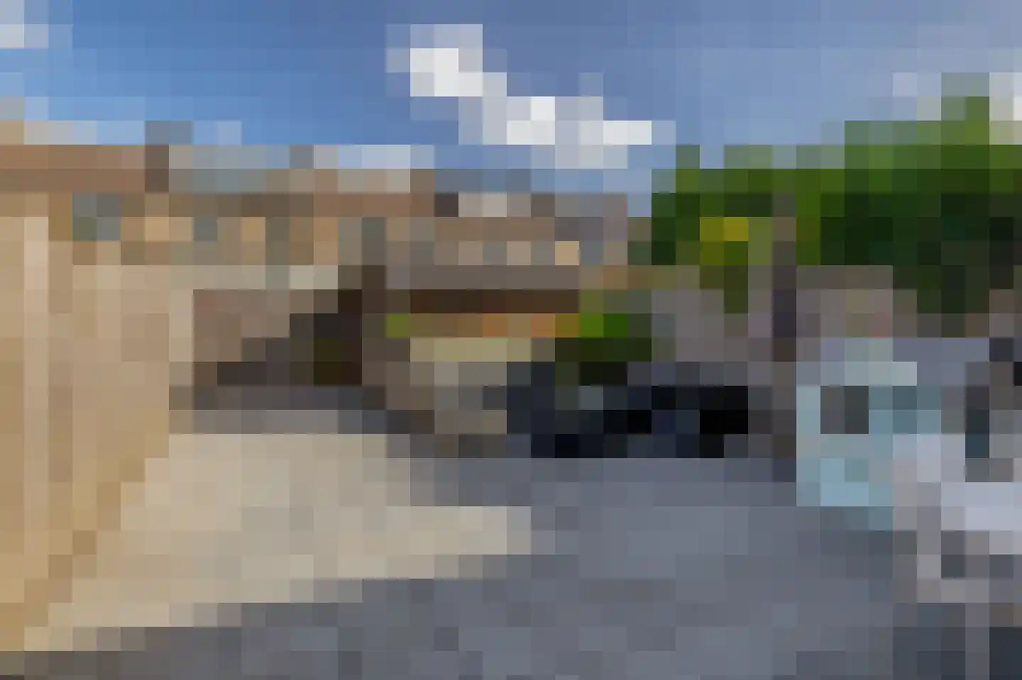 Hertshoornvaren 8 Rotterdam thumbnail 20