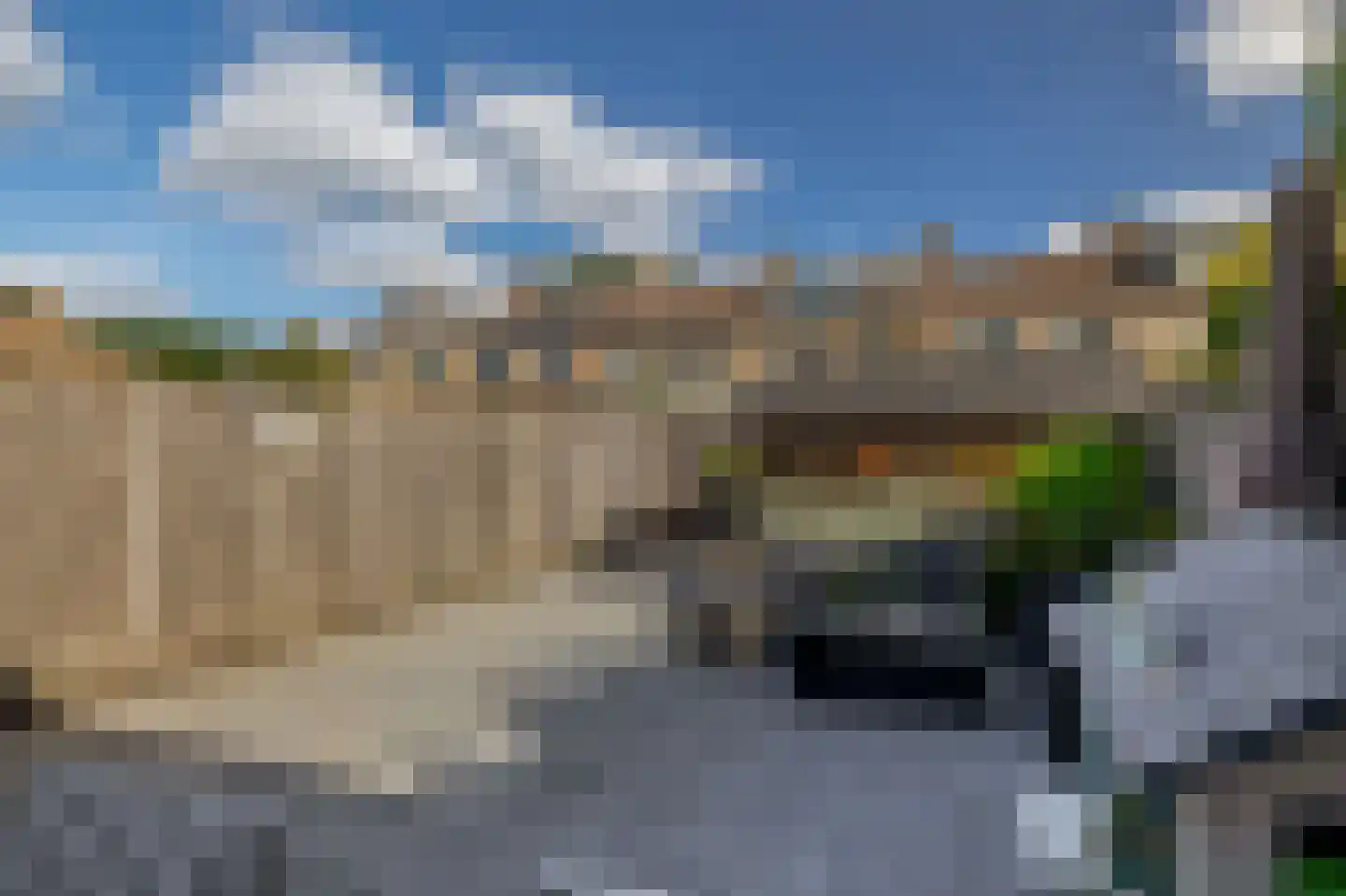 Hertshoornvaren 8 Rotterdam thumbnail 21