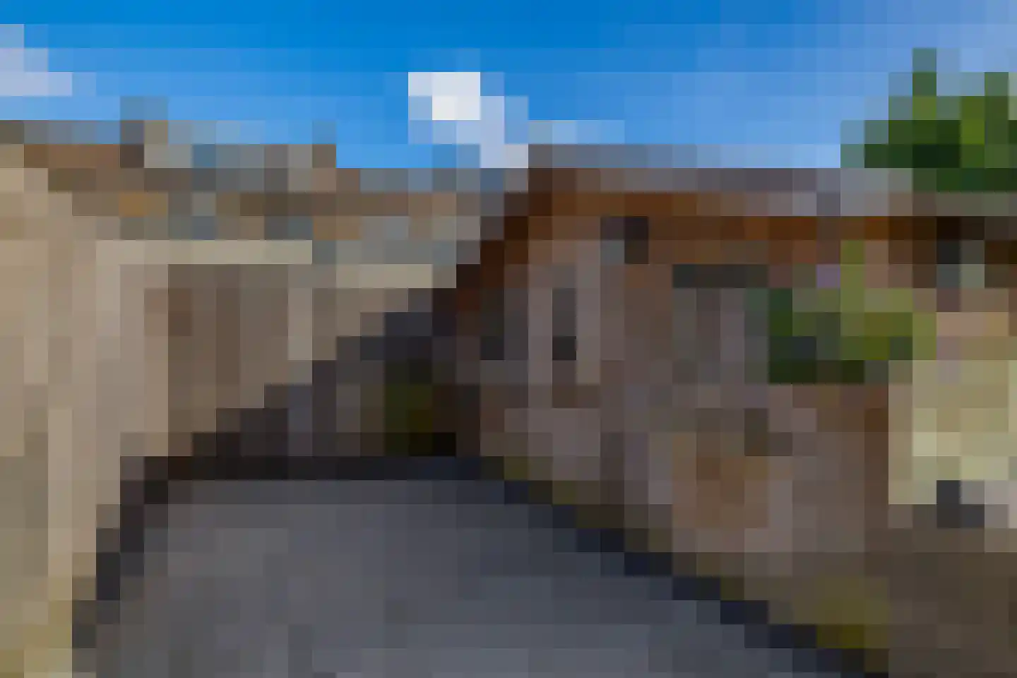 Hertshoornvaren 8 Rotterdam thumbnail 22