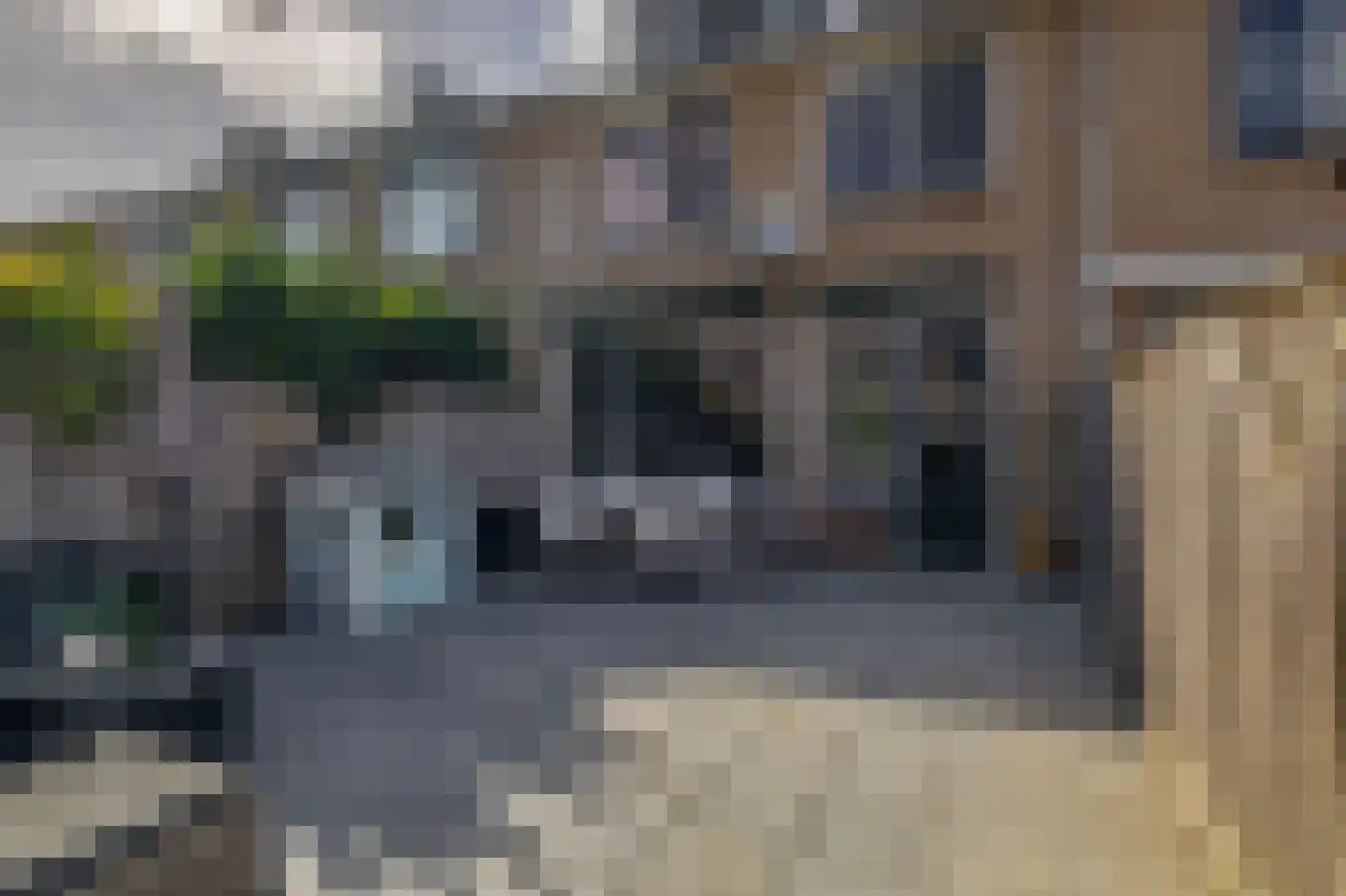 Hertshoornvaren 8 Rotterdam thumbnail 23