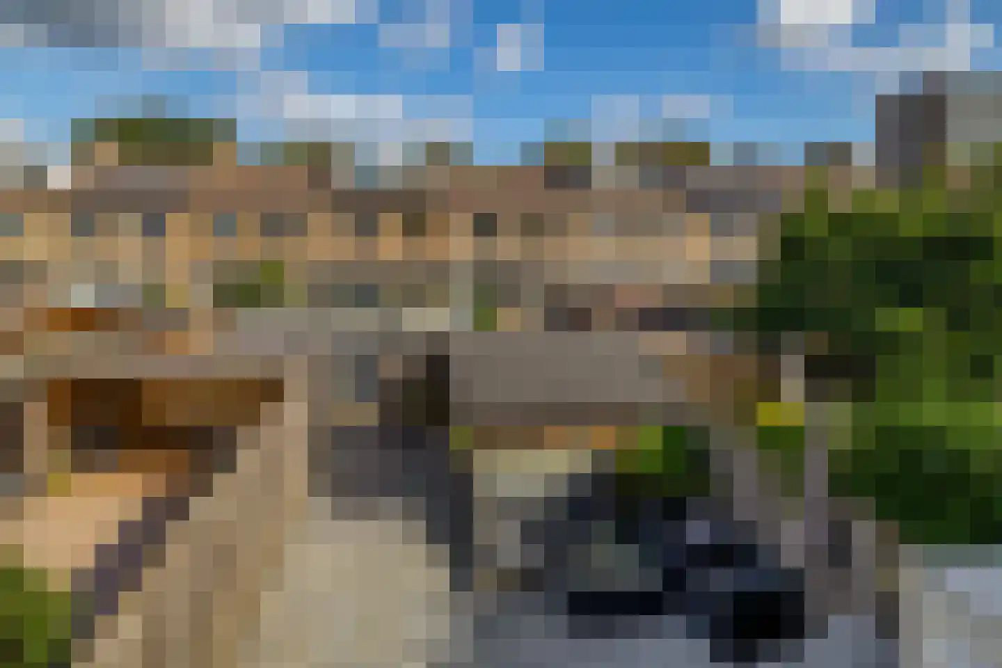 Hertshoornvaren 8 Rotterdam thumbnail 24