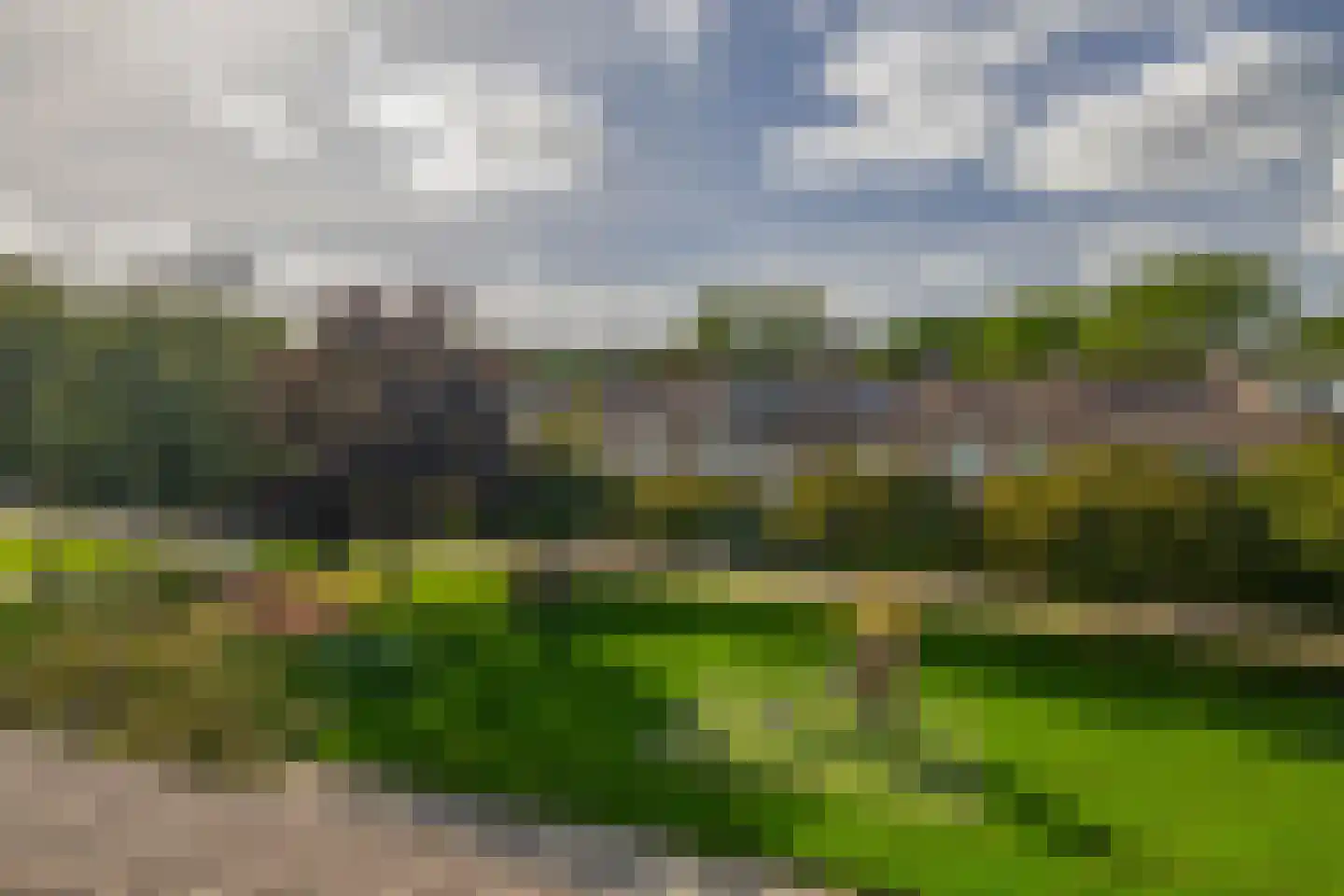 Hertshoornvaren 8 Rotterdam thumbnail 29
