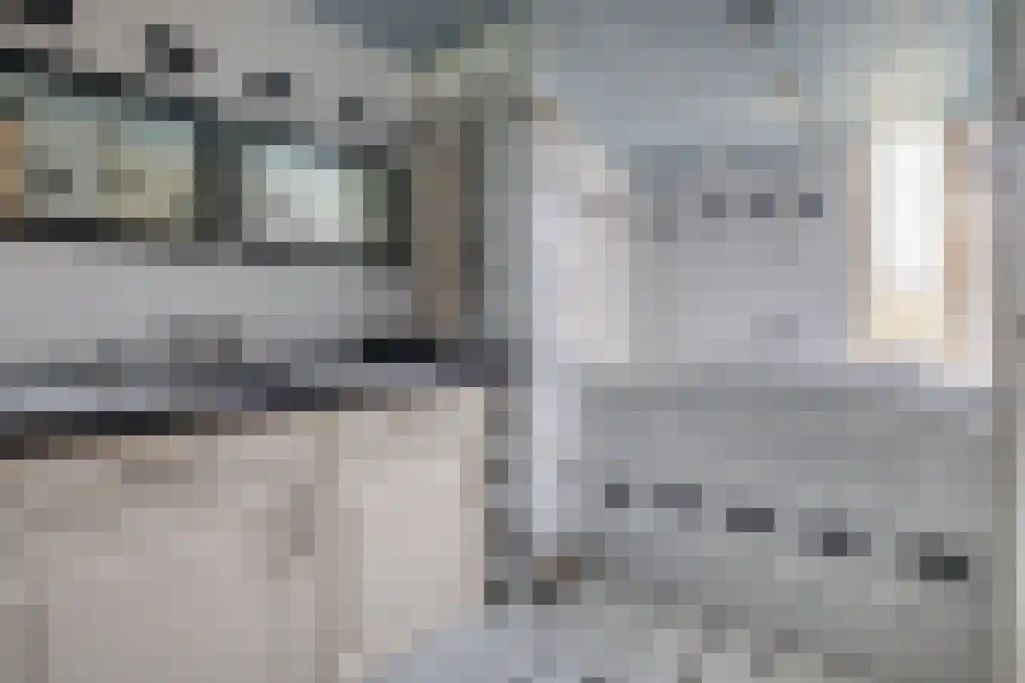 Hertshoornvaren 8 Rotterdam thumbnail 30