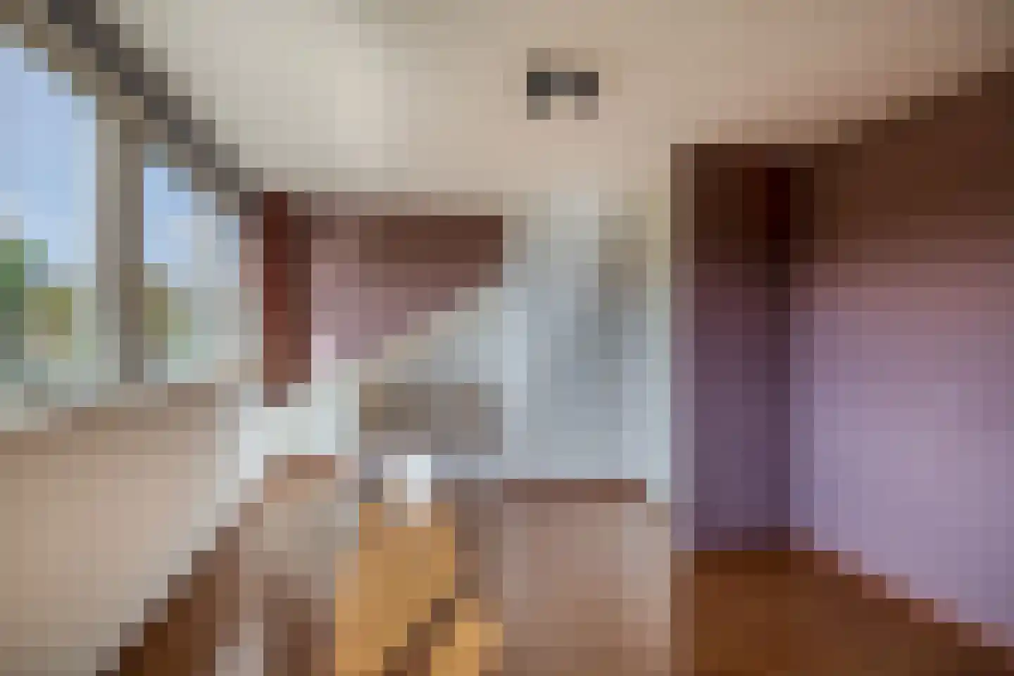 Hertshoornvaren 8 Rotterdam thumbnail 35