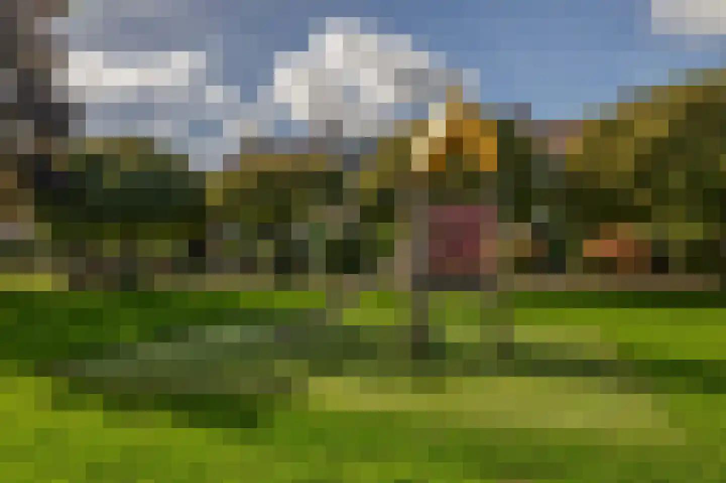 Hertshoornvaren 8 Rotterdam thumbnail 39