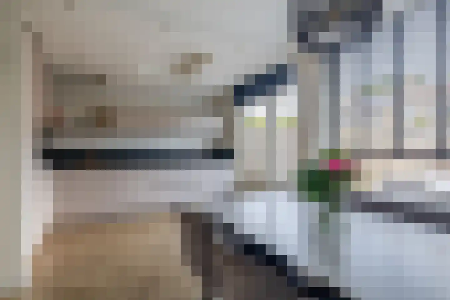 Hertshoornvaren 8 Rotterdam thumbnail 4