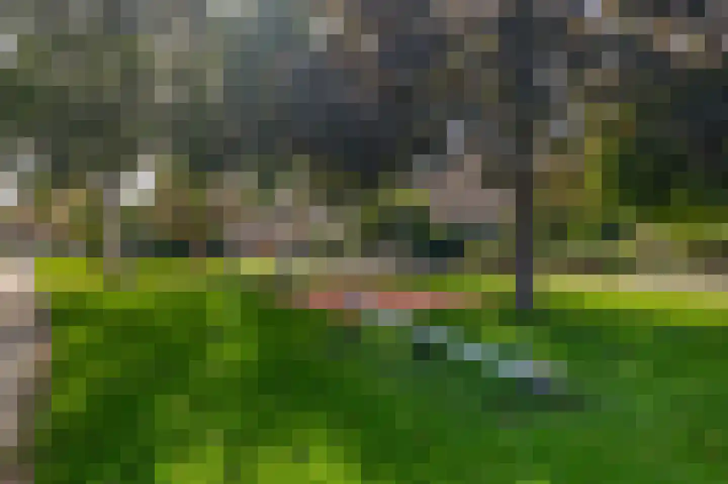Hertshoornvaren 8 Rotterdam thumbnail 6