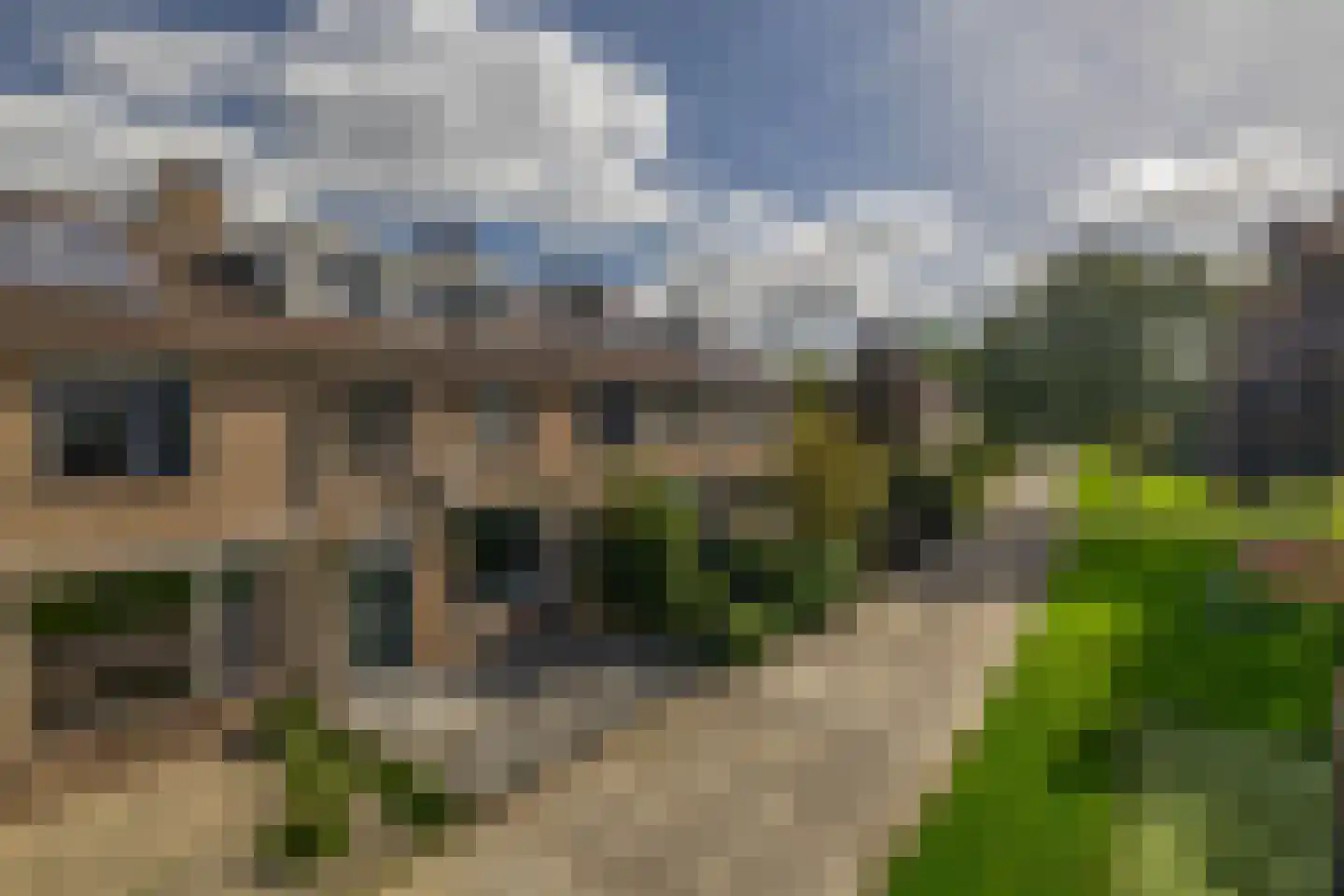 Hertshoornvaren 8 Rotterdam thumbnail 8