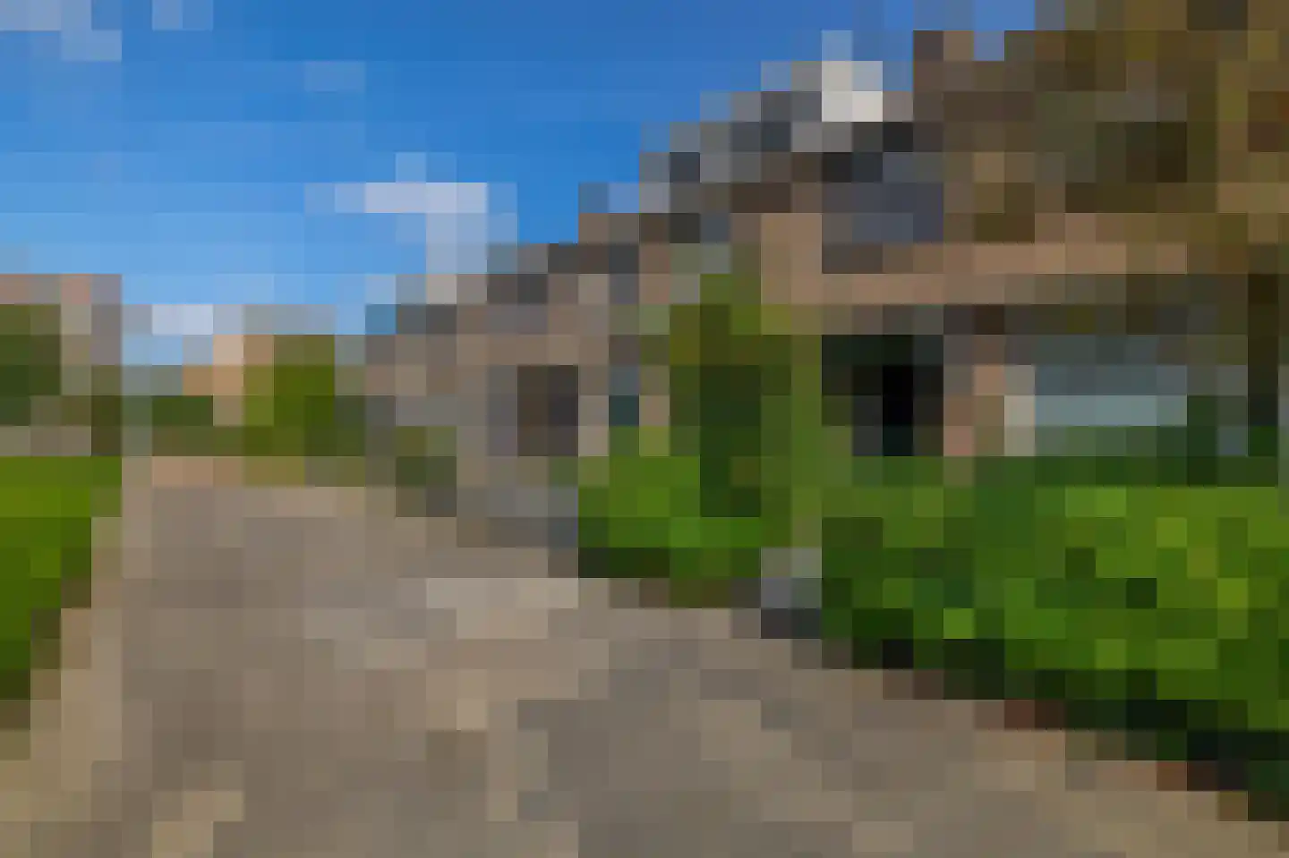 Hertshoornvaren 8 Rotterdam thumbnail 9