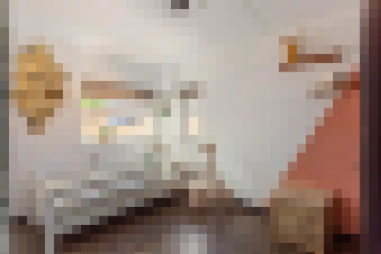 Hertsmuntlaan 15 Enschede thumbnail 16