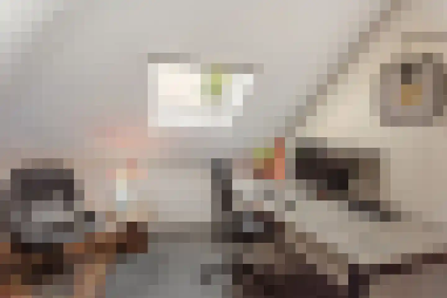 Hertsmuntlaan 15 Enschede thumbnail 17