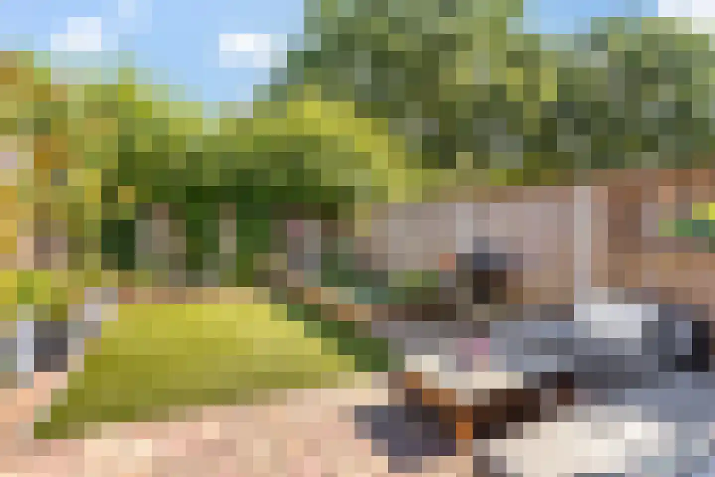 Hertsmuntlaan 15 Enschede thumbnail 21