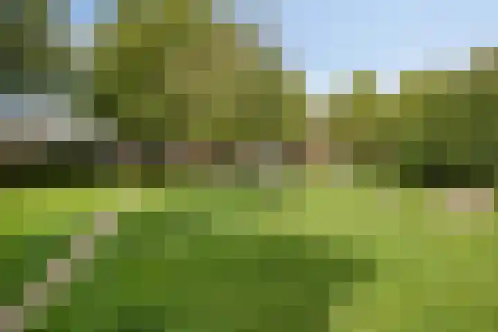 Hertsmuntlaan 8 Enschede thumbnail 31
