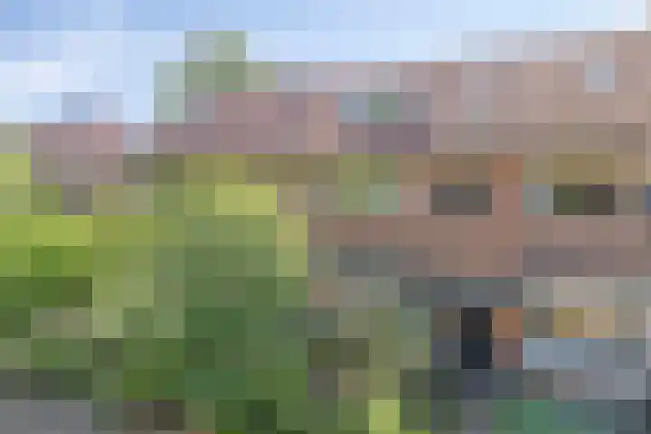 Hertstraat 19 Nijmegen thumbnail 4