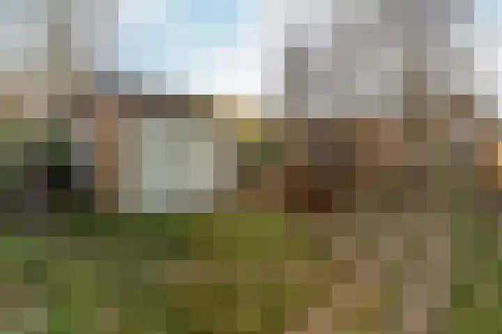 Hertstraat 66 Nijmegen thumbnail 23
