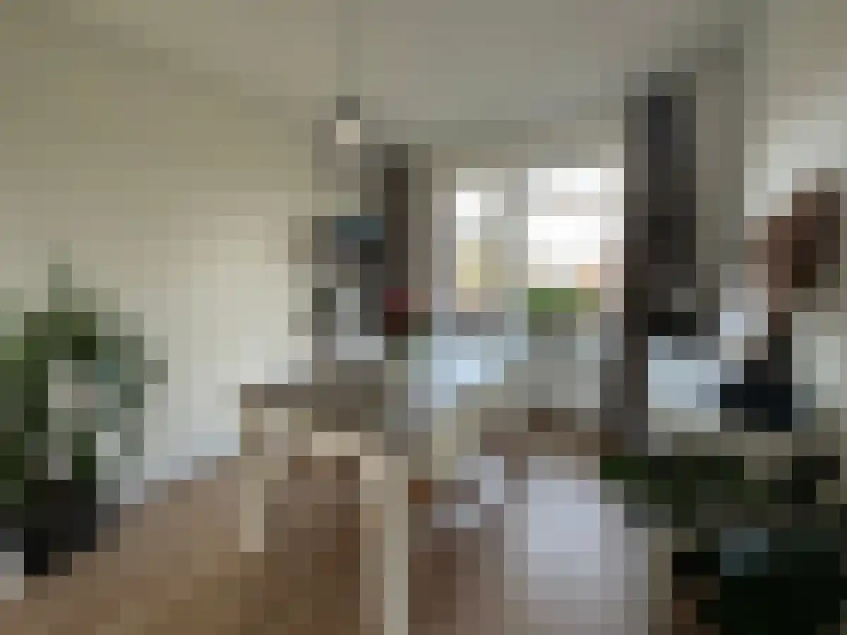 Hertzogstraat 1 Breda thumbnail 6