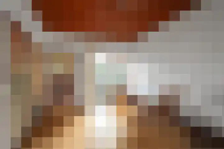 Hertzogstraat 102 Den Helder thumbnail 9
