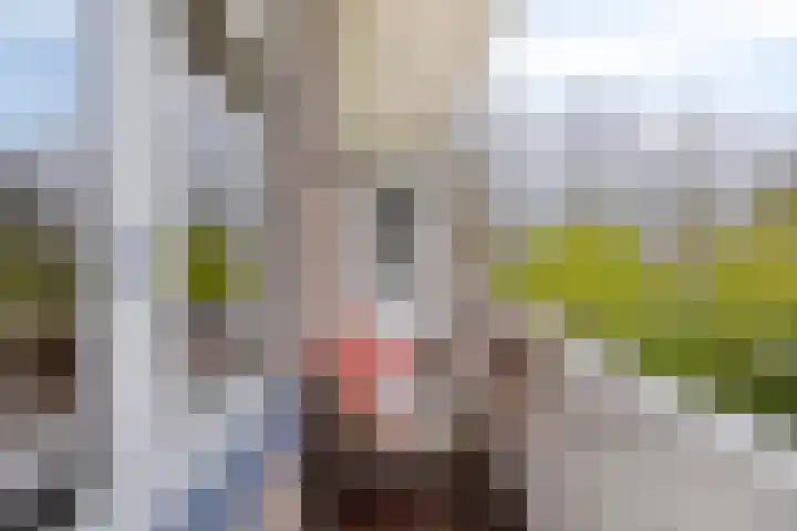 Hertzogstraat 3 A Breda thumbnail 10
