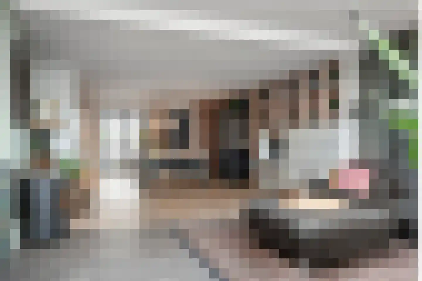 Hertzogstraat 3 Haarlem thumbnail 12