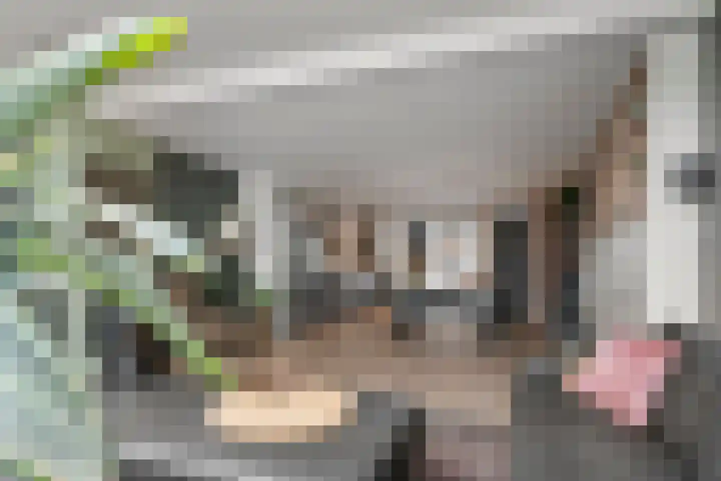 Hertzogstraat 3 Haarlem thumbnail 16