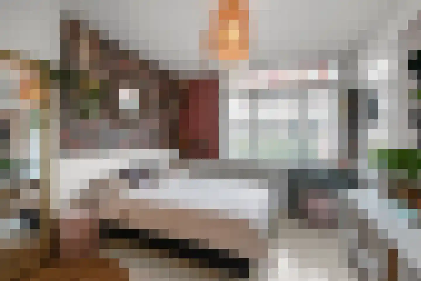 Hertzogstraat 3 Haarlem thumbnail 30