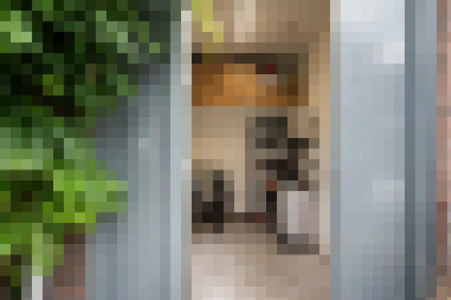 Hertzogstraat 3 Haarlem thumbnail 47