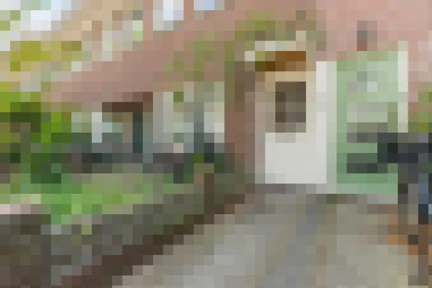 Hertzogstraat 4 RD Haarlem thumbnail 10