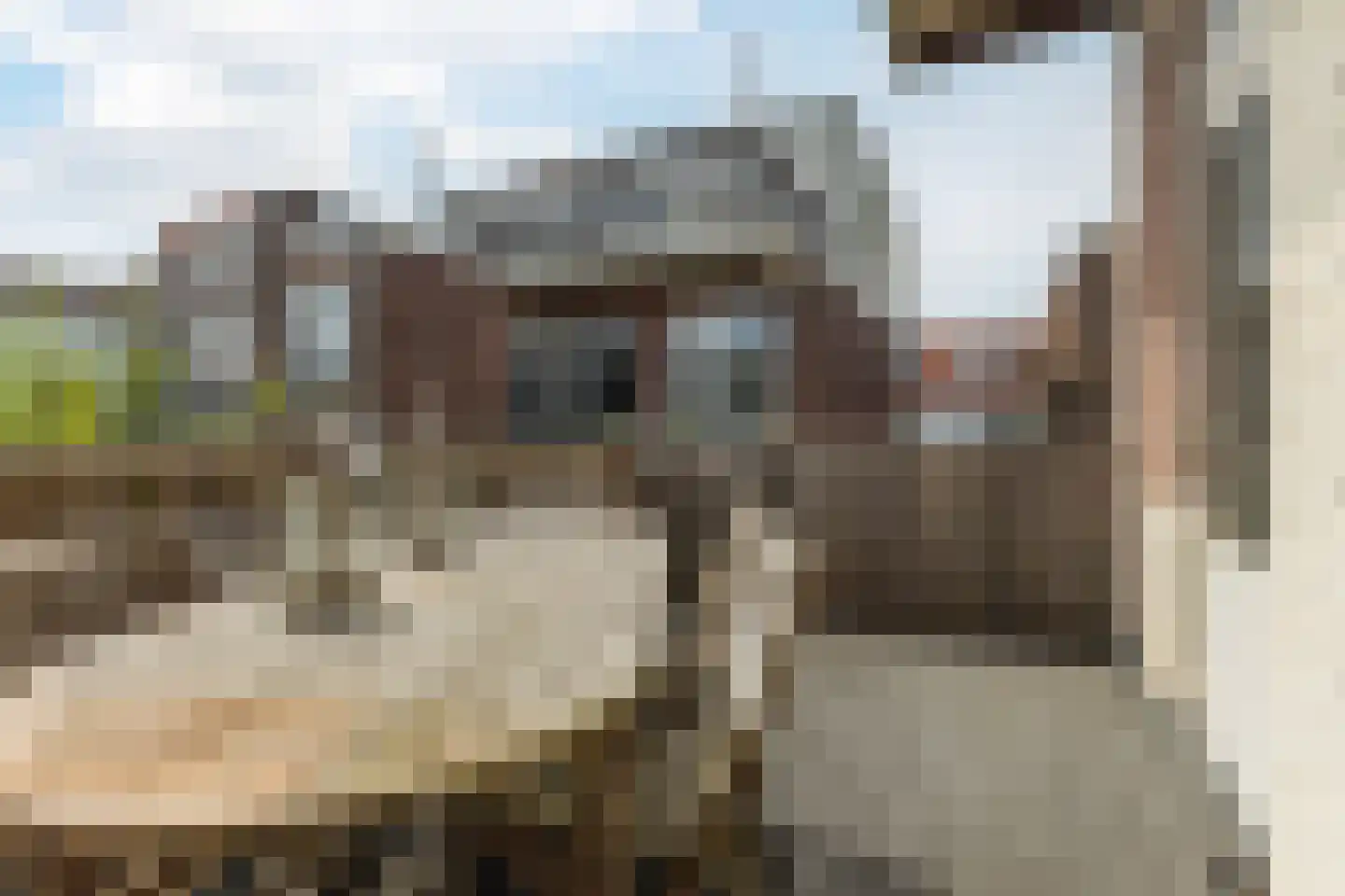 Hertzogstraat 4 RD Haarlem thumbnail 23