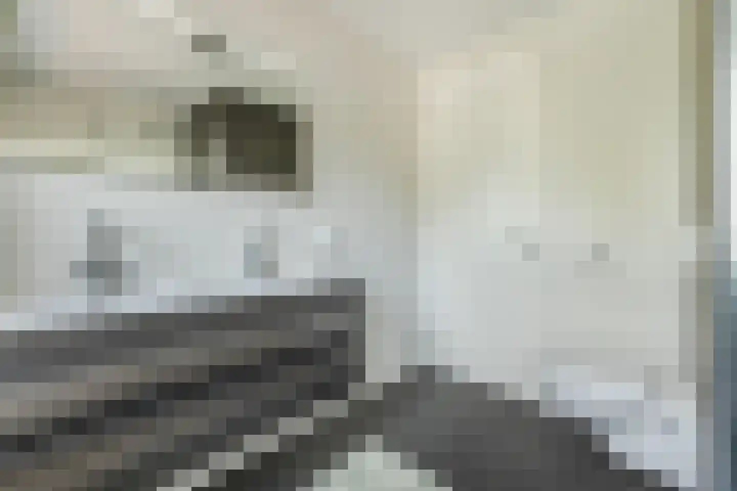 Hertzogstraat 4 RD Haarlem thumbnail 32