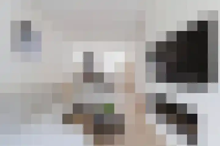 Hertzogstraat 44 Den Helder thumbnail 10