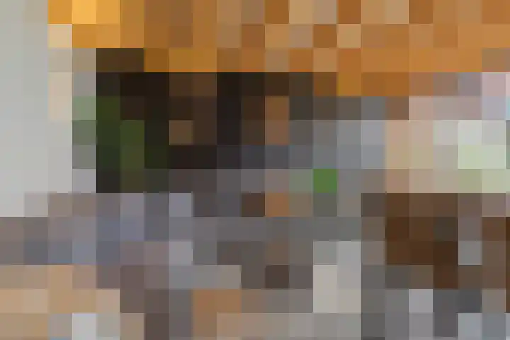 Hertzogstraat 44 Den Helder thumbnail 31