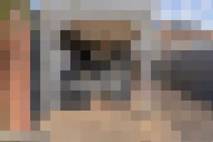 Hertzogstraat 44 Den Helder thumbnail 34